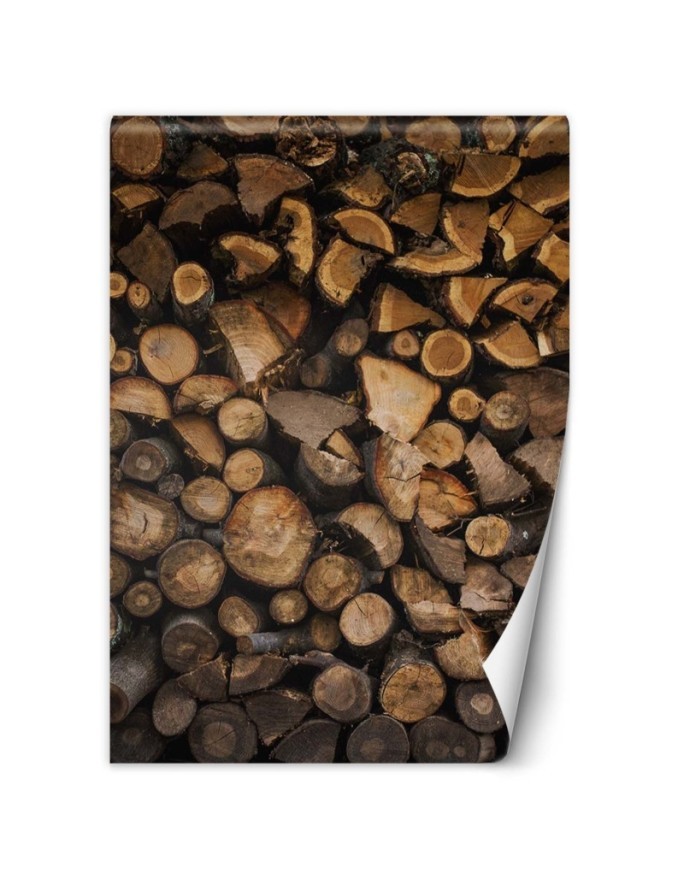 Wall murals - Wood | FEEBY