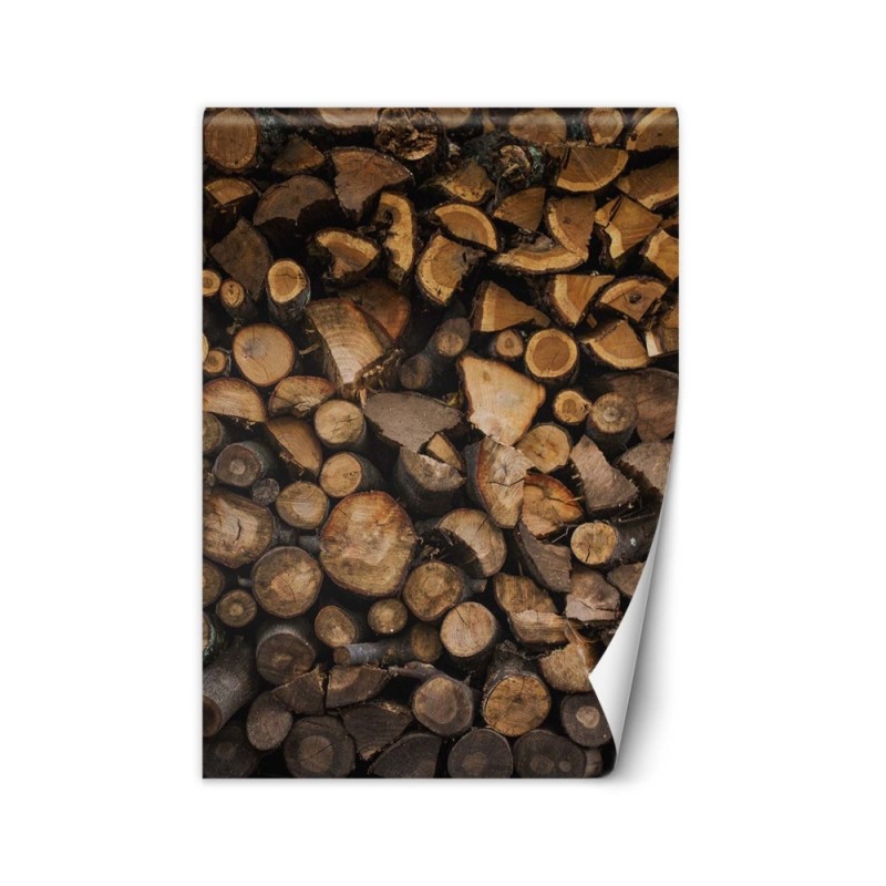 Wall murals - Wood | FEEBY