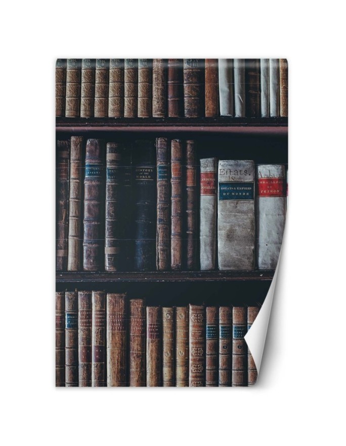 Inspirational Wallpapers for the home - Book library | FEEBY