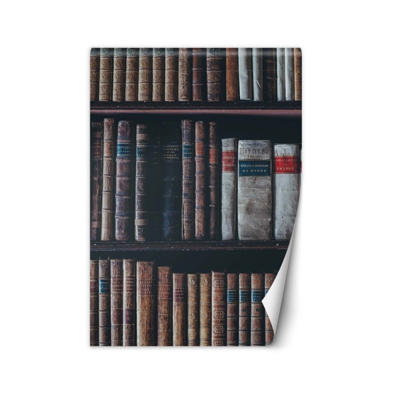 Inspirational Wallpapers for the home - Book library | FEEBY