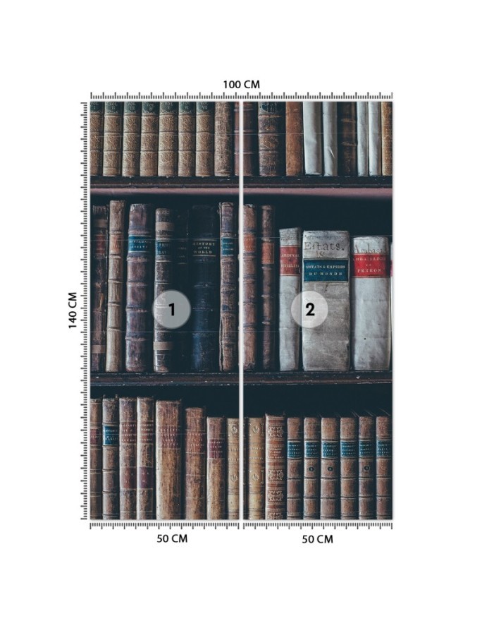 Inspirational Wallpapers for the home - Book library | FEEBY