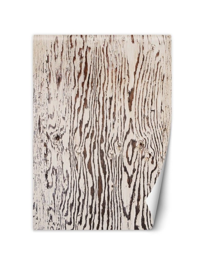 Living room wall mural - Wood macro nature | FEEBY