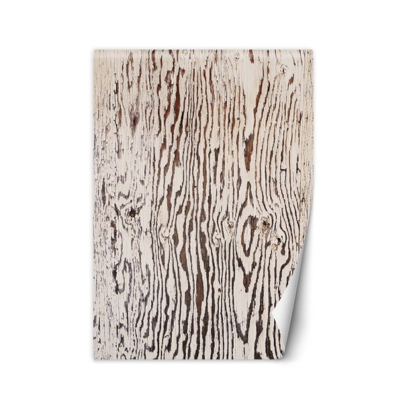 Living room wall mural - Wood macro nature | FEEBY