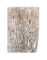 Living room wall mural - Wood macro nature | FEEBY