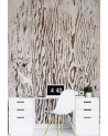 Living room wall mural - Wood macro nature | FEEBY