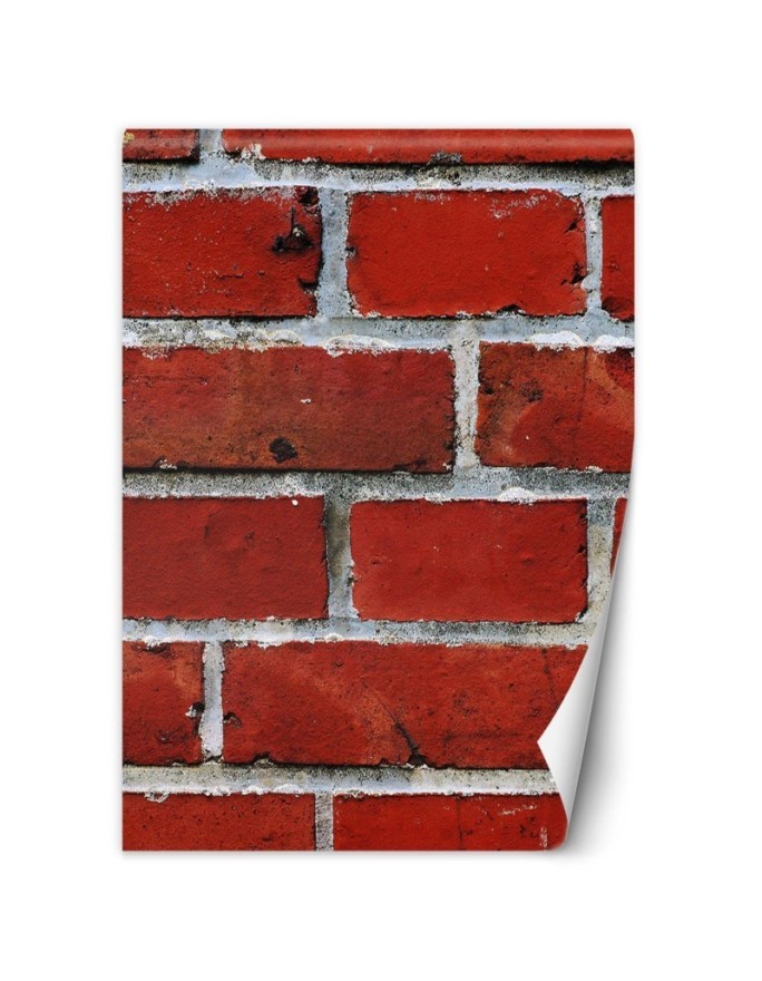 Wall mural - Red brick macro | FEEBY