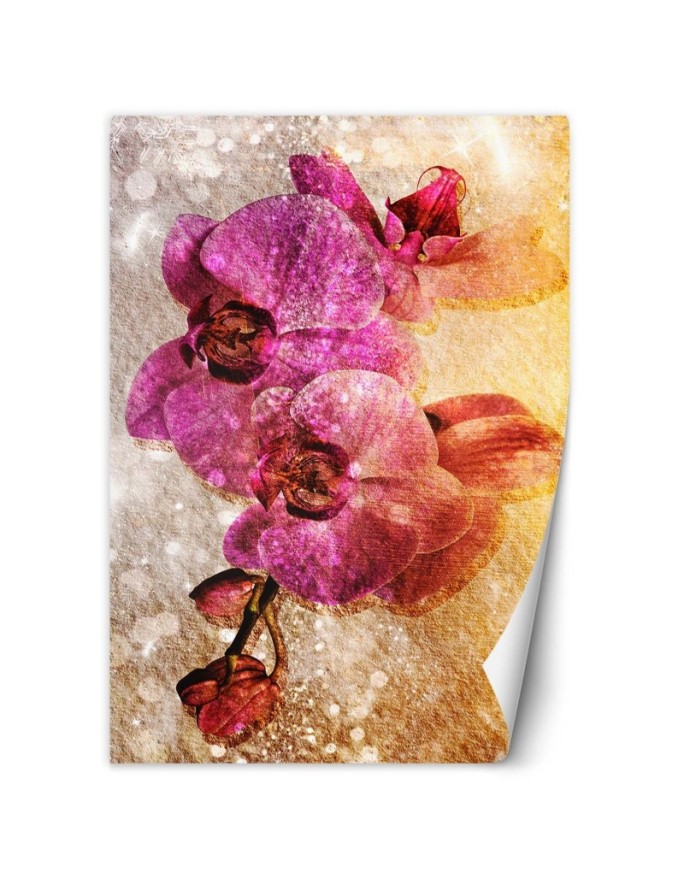 Wall mural Purple orchids