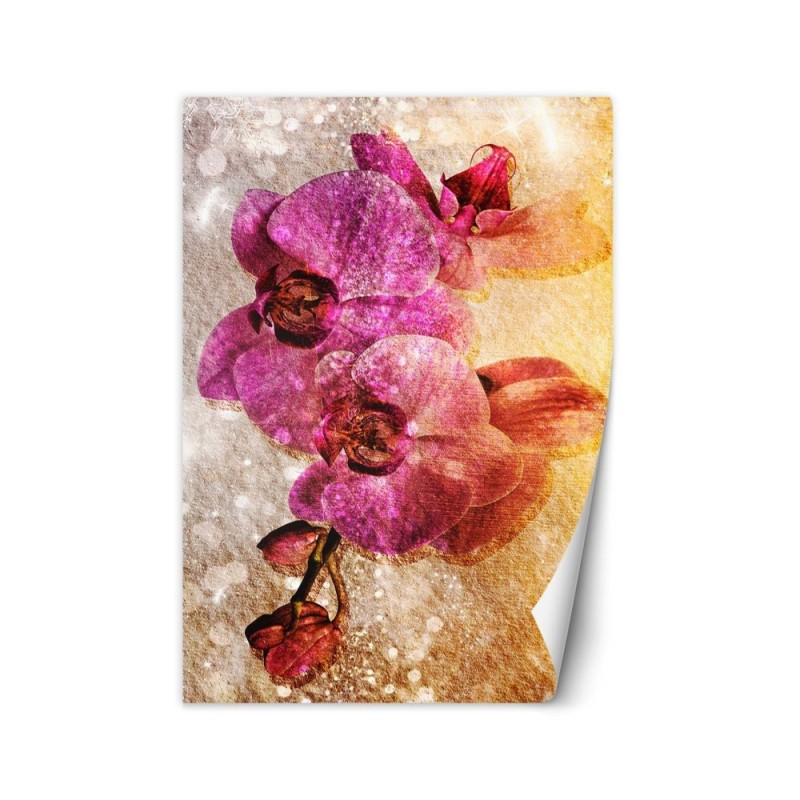 Beautiful Wallpapers - Purple orchids | FEEBY