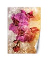 Beautiful Wallpapers - Purple orchids | FEEBY