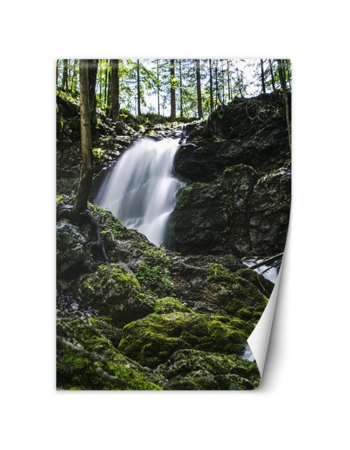 Modern Wallpapers - Waterfall in the forest | FEEBY