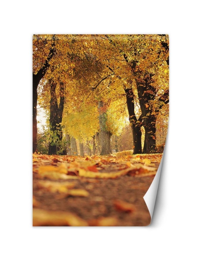 Fleece Wallpapers - Golden autumn in the park | FEEBY