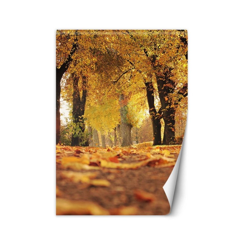 Fleece Wallpapers - Golden autumn in the park | FEEBY