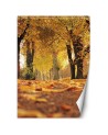 Fleece Wallpapers - Golden autumn in the park | FEEBY