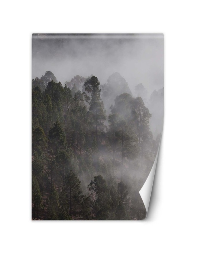 Inspirational Wallpapers - Green forest in the fog | FEEBY