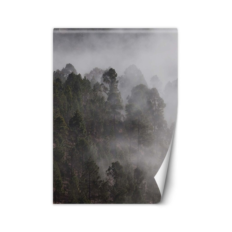 Inspirational Wallpapers - Green forest in the fog | FEEBY