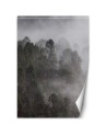Inspirational Wallpapers - Green forest in the fog | FEEBY