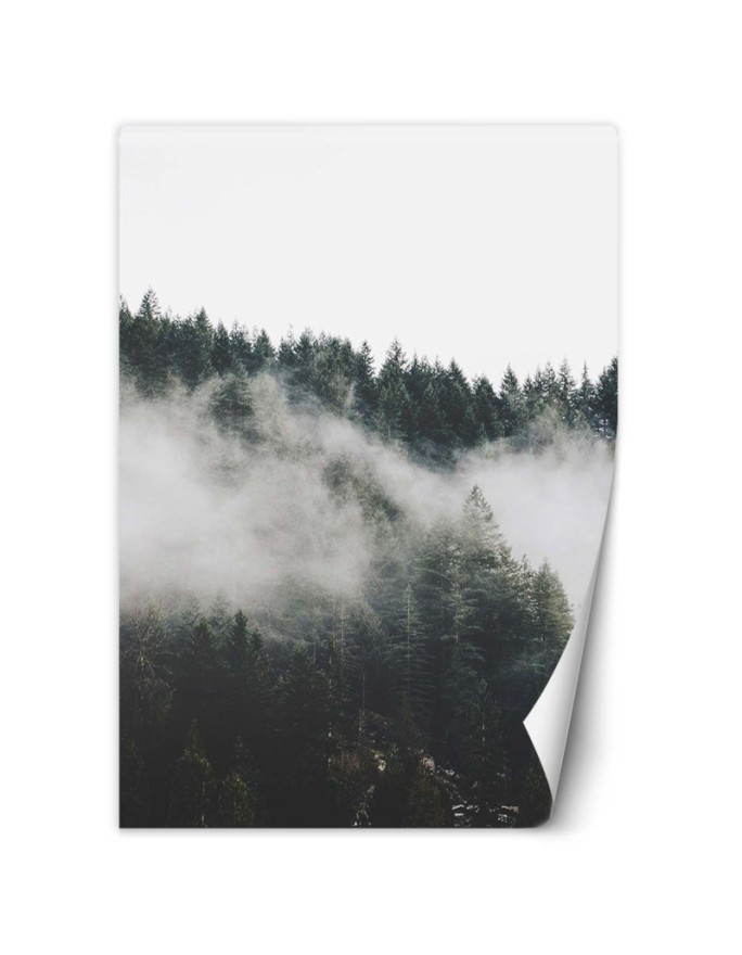 Stylish Wallpapers - Foggy forest in the mountains | FEEBY