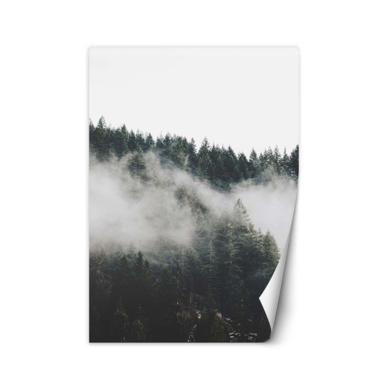 Stylish Wallpapers - Foggy forest in the mountains | FEEBY