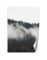 Stylish Wallpapers - Foggy forest in the mountains | FEEBY