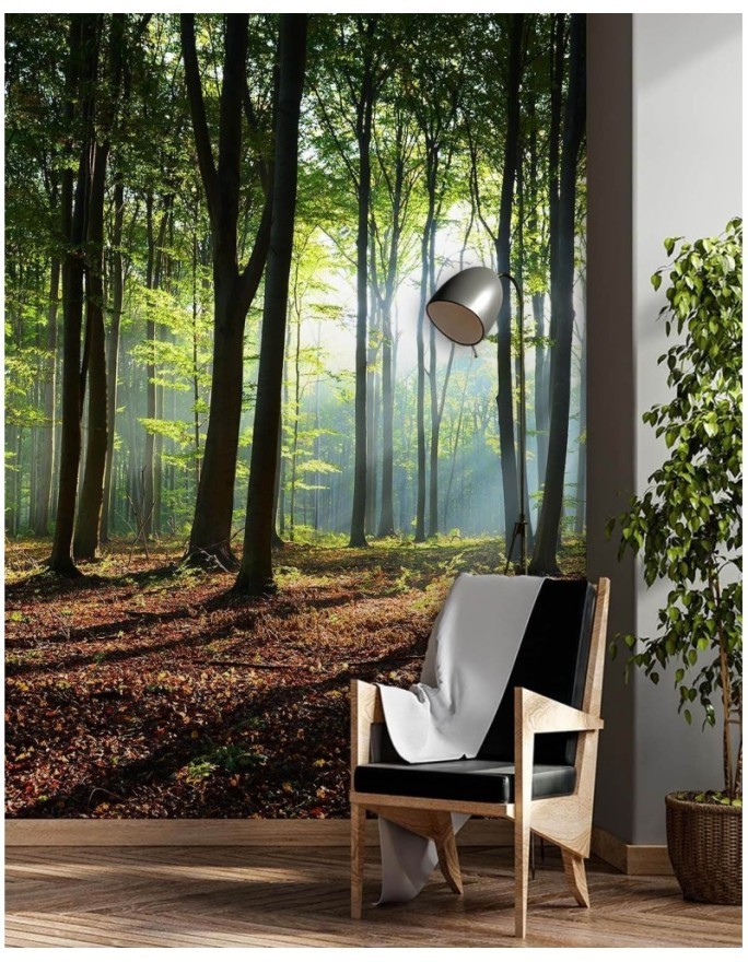 Wallpaper - Forest green sunrise nature | FEEBY
