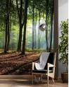 Wallpaper - Forest green sunrise nature | FEEBY
