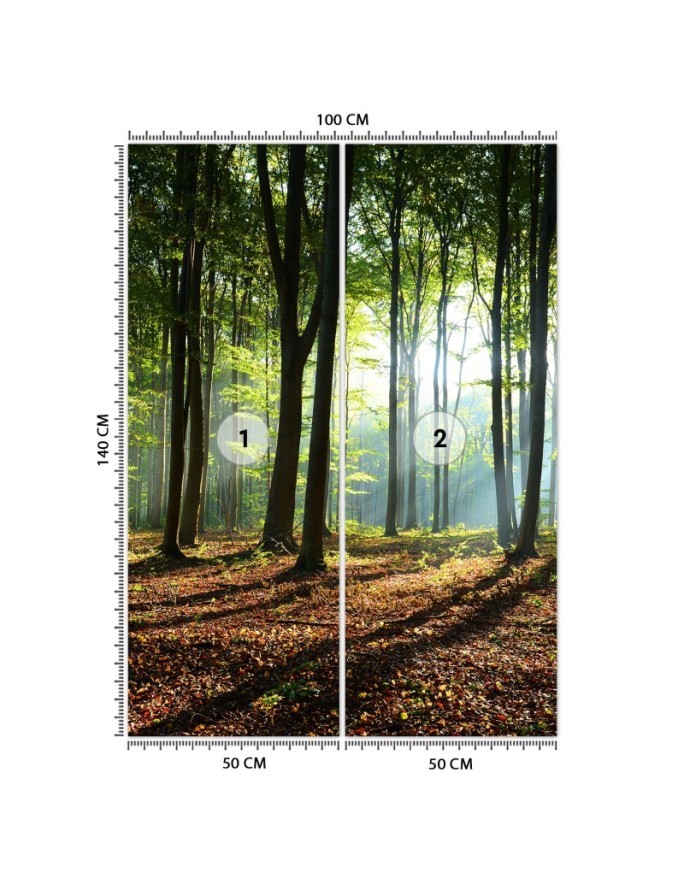 Wallpaper - Forest green sunrise nature | FEEBY
