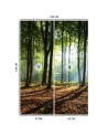 Wallpaper - Forest green sunrise nature | FEEBY