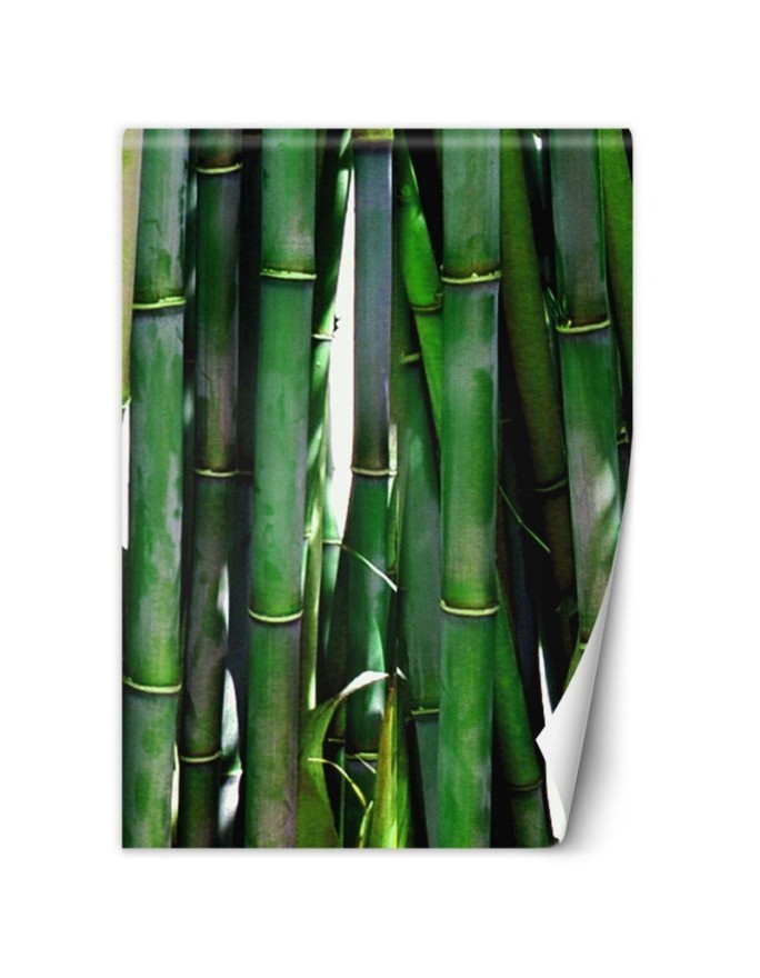 Exotic Wallpaper - Green bamboos | FEEBY