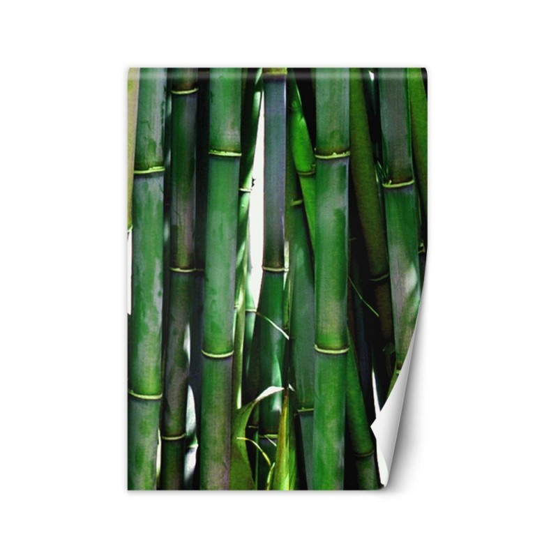 Exotic Wallpaper - Green bamboos | FEEBY
