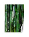 Exotic Wallpaper - Green bamboos | FEEBY