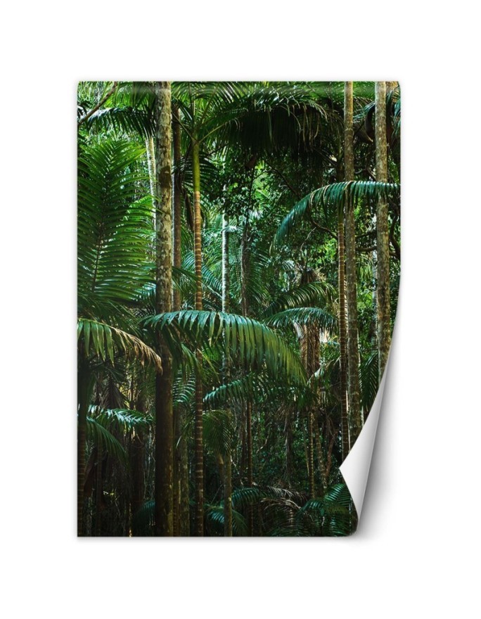 Stylish Wallpaper - Tropical forest nature | FEEBY