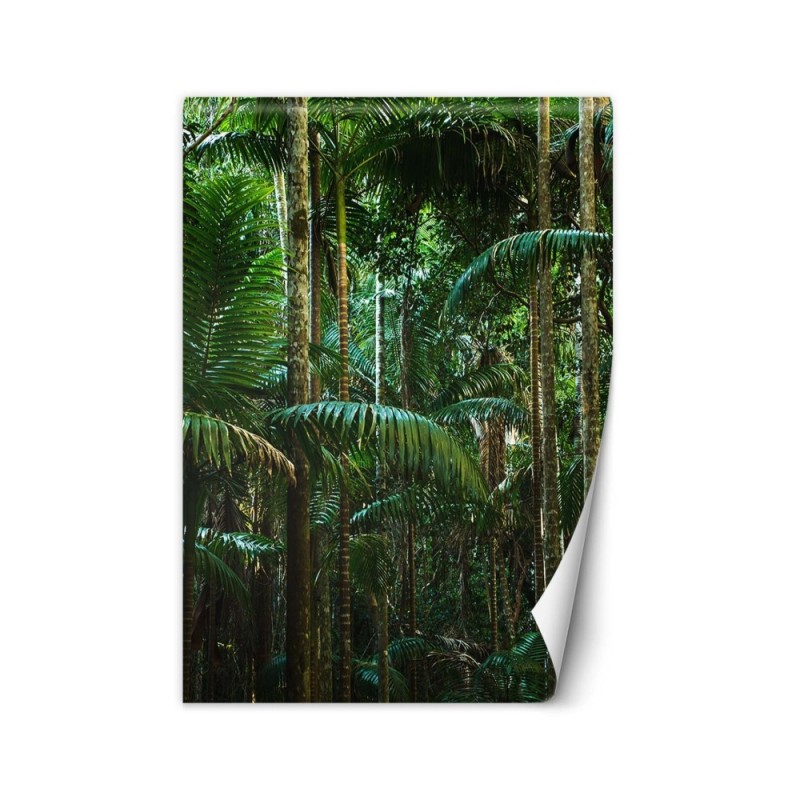 Stylish Wallpaper - Tropical forest nature | FEEBY