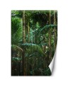 Stylish Wallpaper - Tropical forest nature | FEEBY