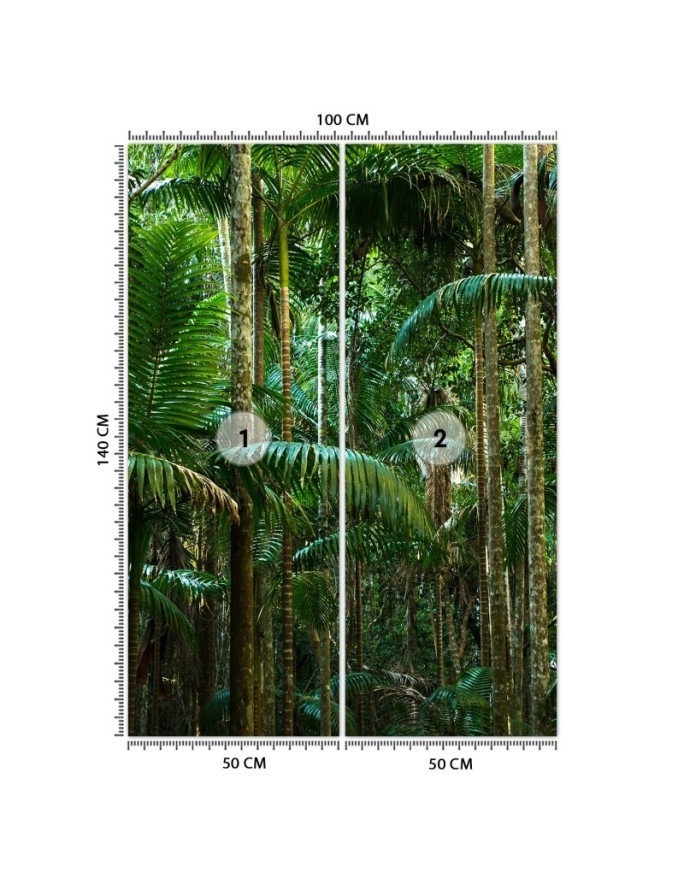Stylish Wallpaper - Tropical forest nature | FEEBY