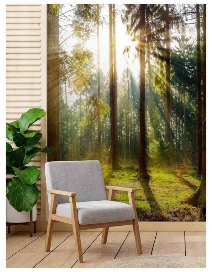 Modern wall mural - Forest of morning sunshine | FEEBY