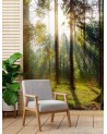 Modern wall mural - Forest of morning sunshine | FEEBY
