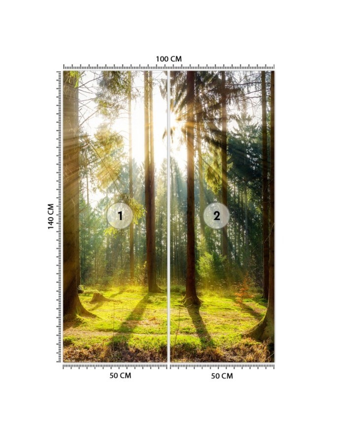 Modern wall mural - Forest of morning sunshine | FEEBY