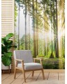 Modern wall mural - Forest sunshine | FEEBY