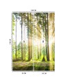 Modern wall mural - Forest sunshine | FEEBY