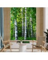 Fleece wall mural - Birch forest | FEEBY