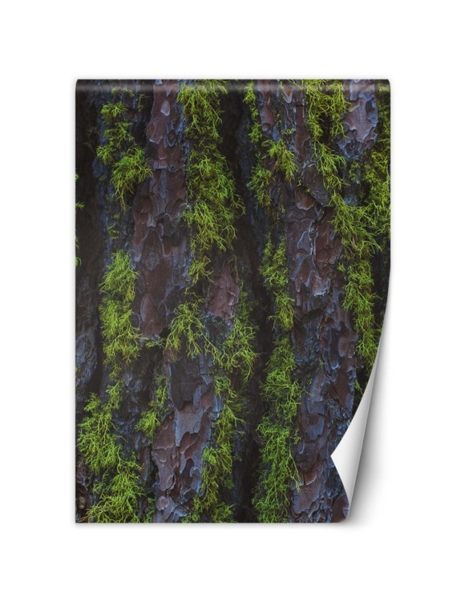 Modern wall murals - Tree moss | FEEBY