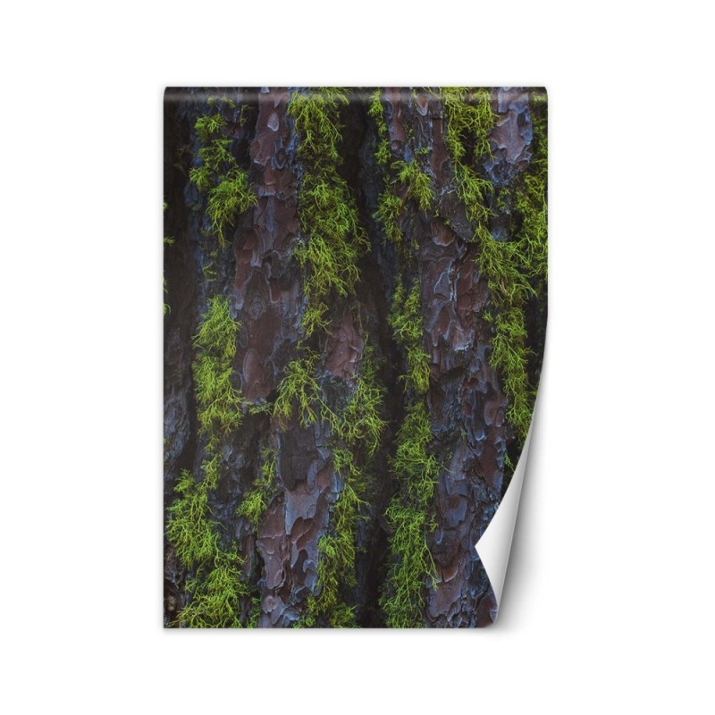 Modern wall murals - Tree moss | FEEBY