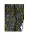 Modern wall murals - Tree moss | FEEBY