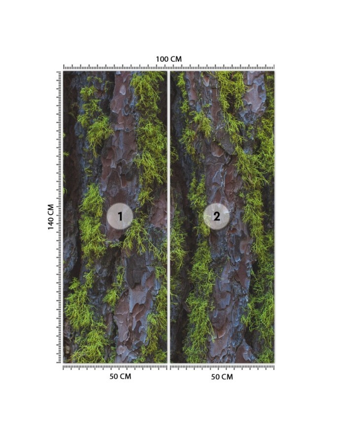 Modern wall murals - Tree moss | FEEBY