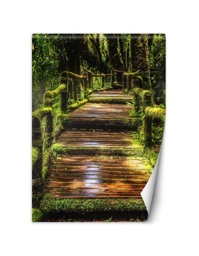 Landscape wall murals - Bridge in a green forest | FEEBY
