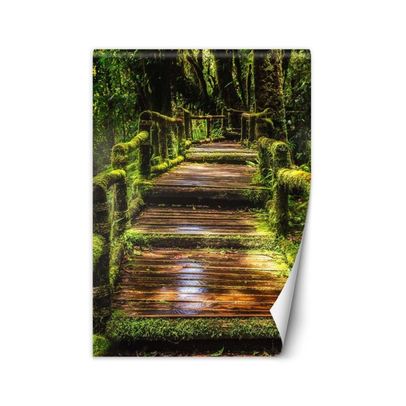 Landscape wall murals - Bridge in a green forest | FEEBY