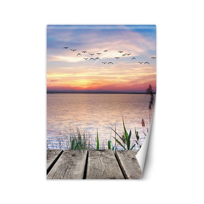 Modern wall murals for the living room - Birds by the sea | FEEBY