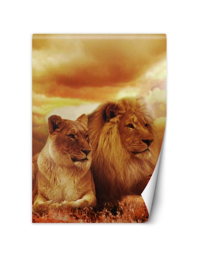 Animal Wallpapers - Couple of lions | FEEBY