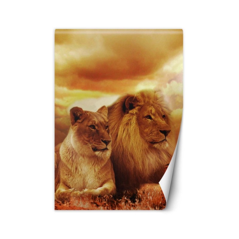 Animal Wallpapers - Couple of lions | FEEBY