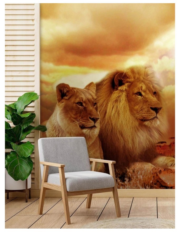 Animal Wallpapers - Couple of lions | FEEBY